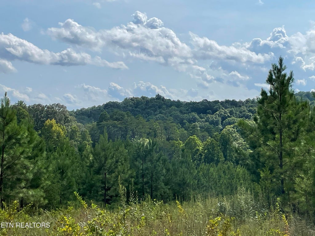 Photo of Ridgeline Drive, Vonore, TN 37885 (MLS # 1351632)