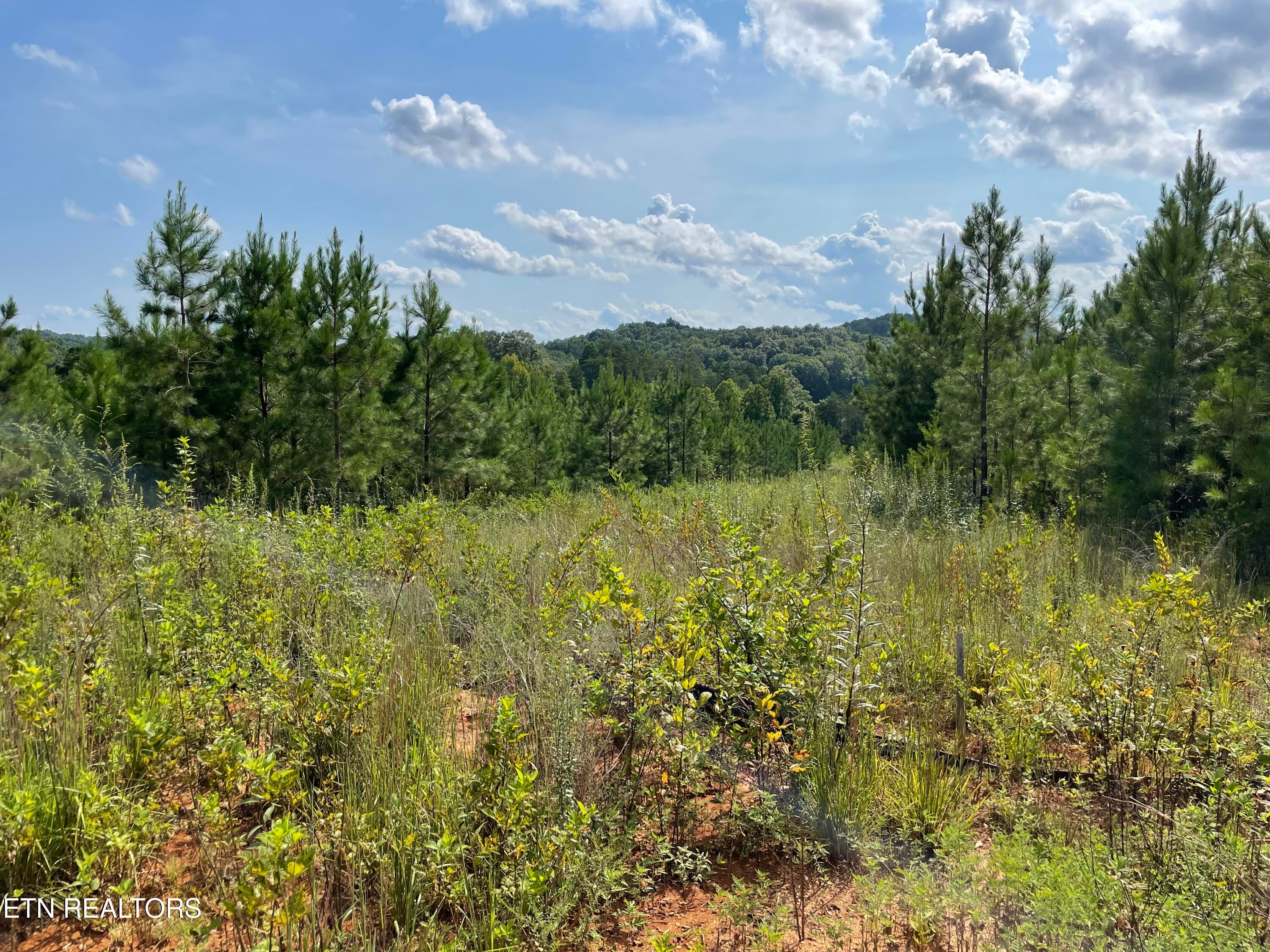 Ridgeline Drive
