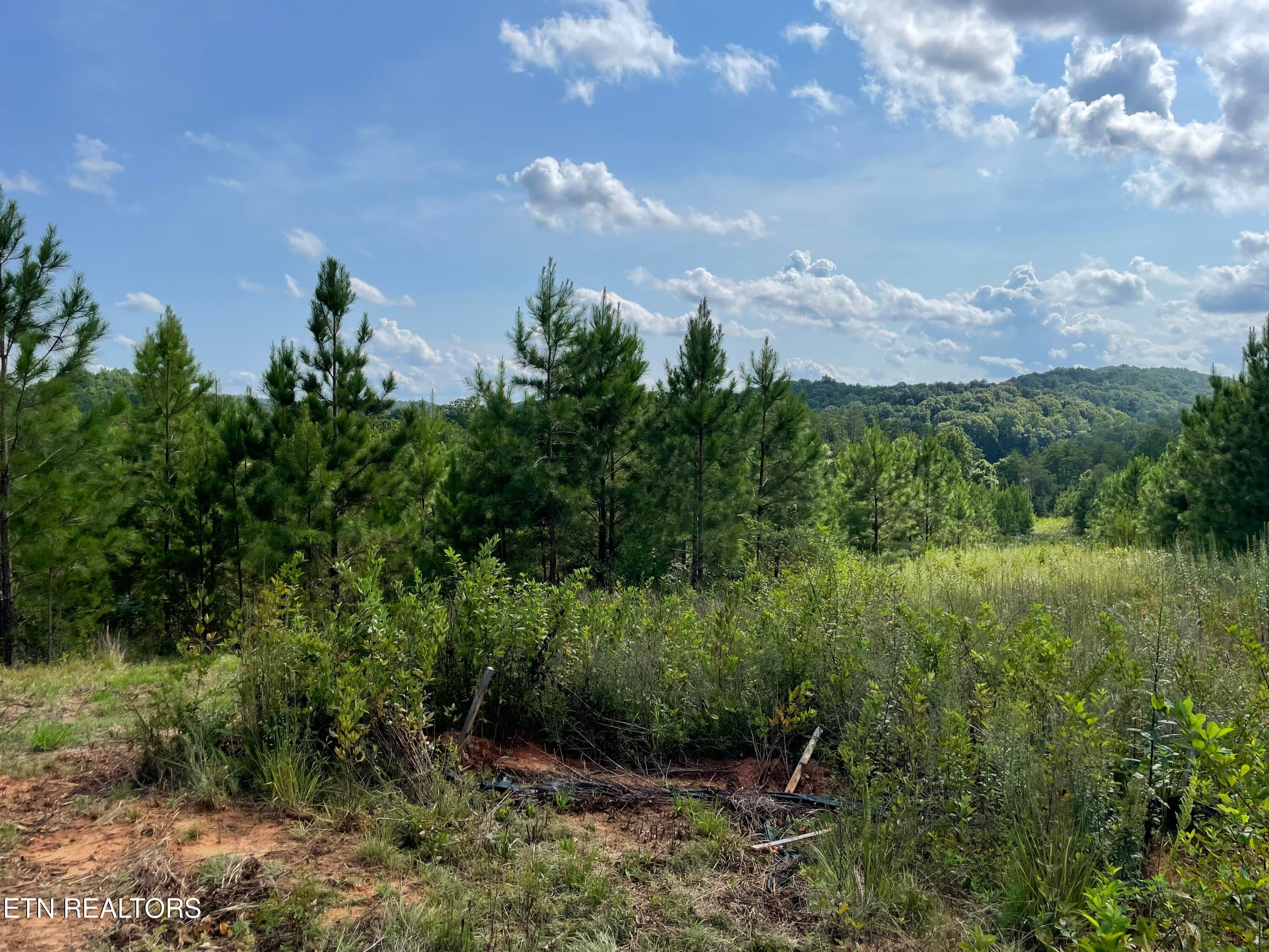 Ridgeline Drive
