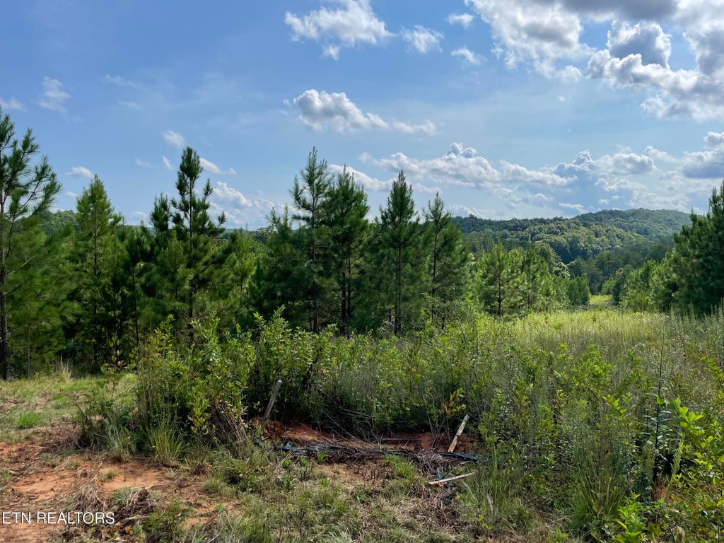 Photo of Ridgeline Drive, Vonore, TN 37885 (MLS # 1351632)
