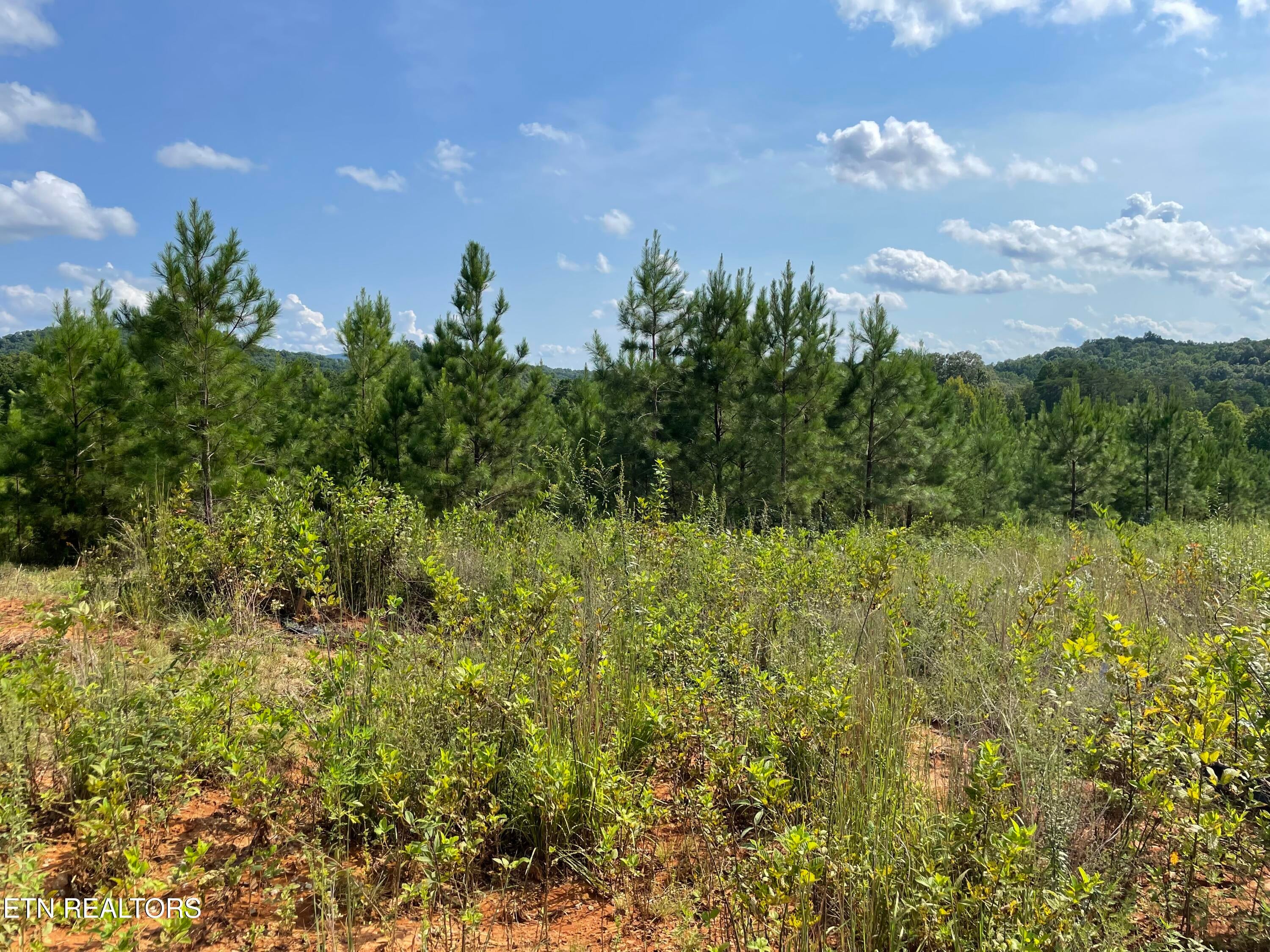 Ridgeline Drive
