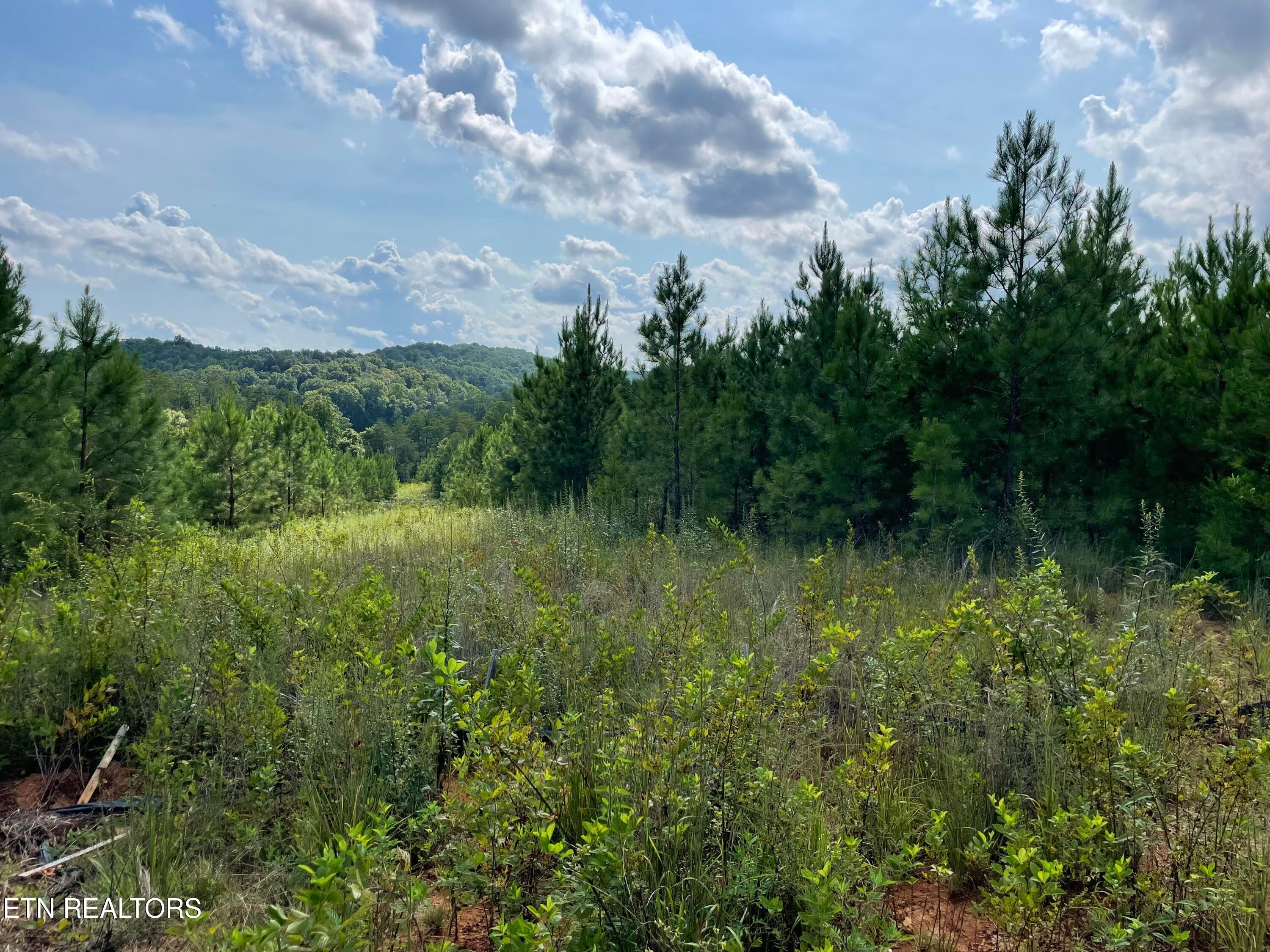 Ridgeline Drive
