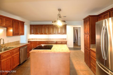 Tiny photo for 233 Sequoyah Tr, Rutledge, TN 37861 (MLS # 1339929)