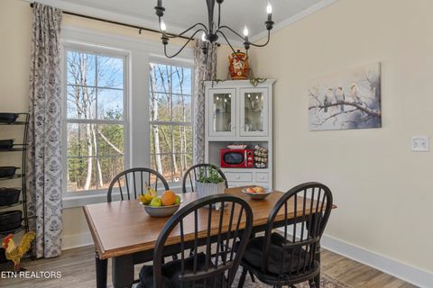 Tiny photo for 998 Luna Way, Parrottsville, TN 37843 (MLS # 1330204)