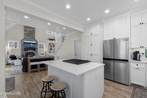 Tiny photo for 998 Luna Way, Parrottsville, TN 37843 (MLS # 1330204)