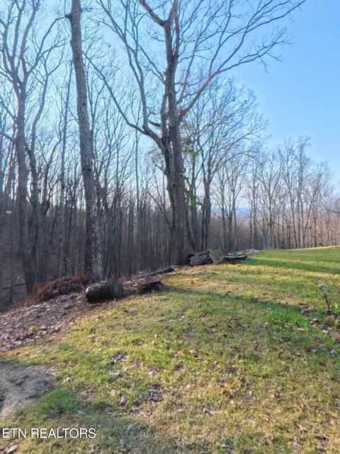 Tiny photo for 998 Luna Way, Parrottsville, TN 37843 (MLS # 1330204)