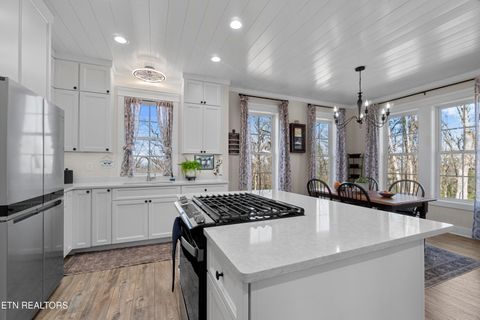 Tiny photo for 998 Luna Way, Parrottsville, TN 37843 (MLS # 1330204)