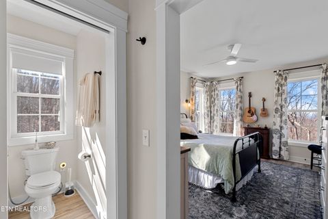 Tiny photo for 998 Luna Way, Parrottsville, TN 37843 (MLS # 1330204)