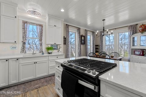 Tiny photo for 998 Luna Way, Parrottsville, TN 37843 (MLS # 1330204)