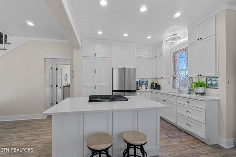 Tiny photo for 998 Luna Way, Parrottsville, TN 37843 (MLS # 1330204)