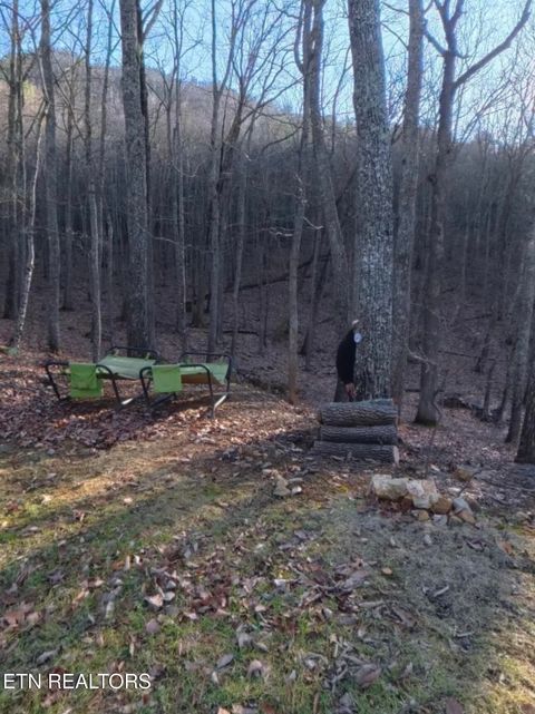 Tiny photo for 998 Luna Way, Parrottsville, TN 37843 (MLS # 1330204)