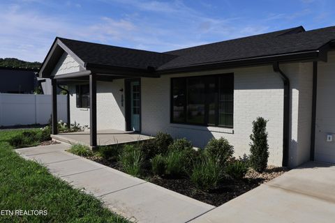 Tiny photo for 203 Martin St, Kingston, TN 37763 (MLS # 1348128)