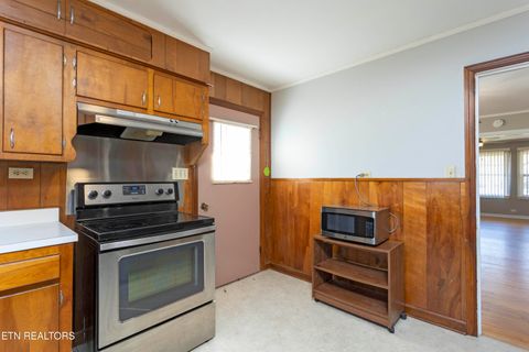 Tiny photo for 442 W Rhea Ave, Spring City, TN 37381 (MLS # 1321764)