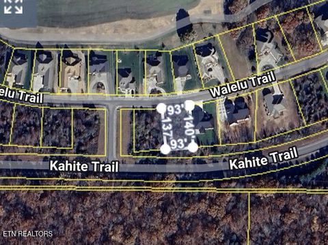 Photo of 110 E Walelu Tr, Vonore, TN 37885 (MLS # 1330229)