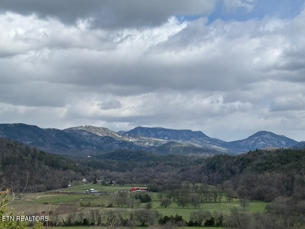 Photo of 1701 Birch Drive, Sevierville, TN 37876 (MLS # 1333101)