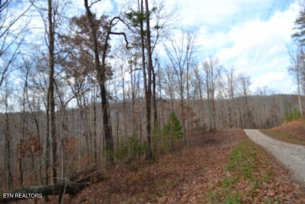 Photo of 75 Tomahawk Rd, Jamestown, TN 38556 (MLS # 1322829)