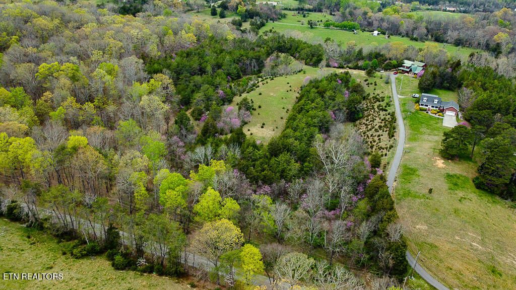 Photo of 5 Cedar School Rd, Dandridge, TN 37725 (MLS # 1295312)