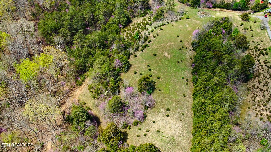 Photo of 5 Cedar School Rd, Dandridge, TN 37725 (MLS # 1295312)