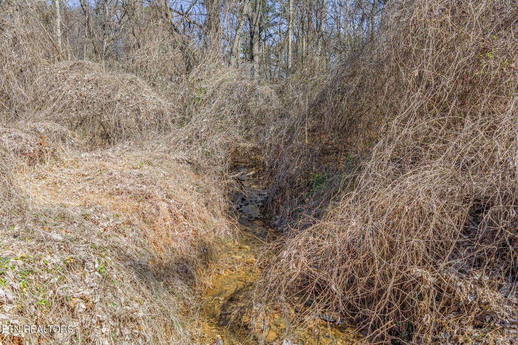 Photo of 0 Anderson Drive, Knoxville, TN 37920 (MLS # 1330405)