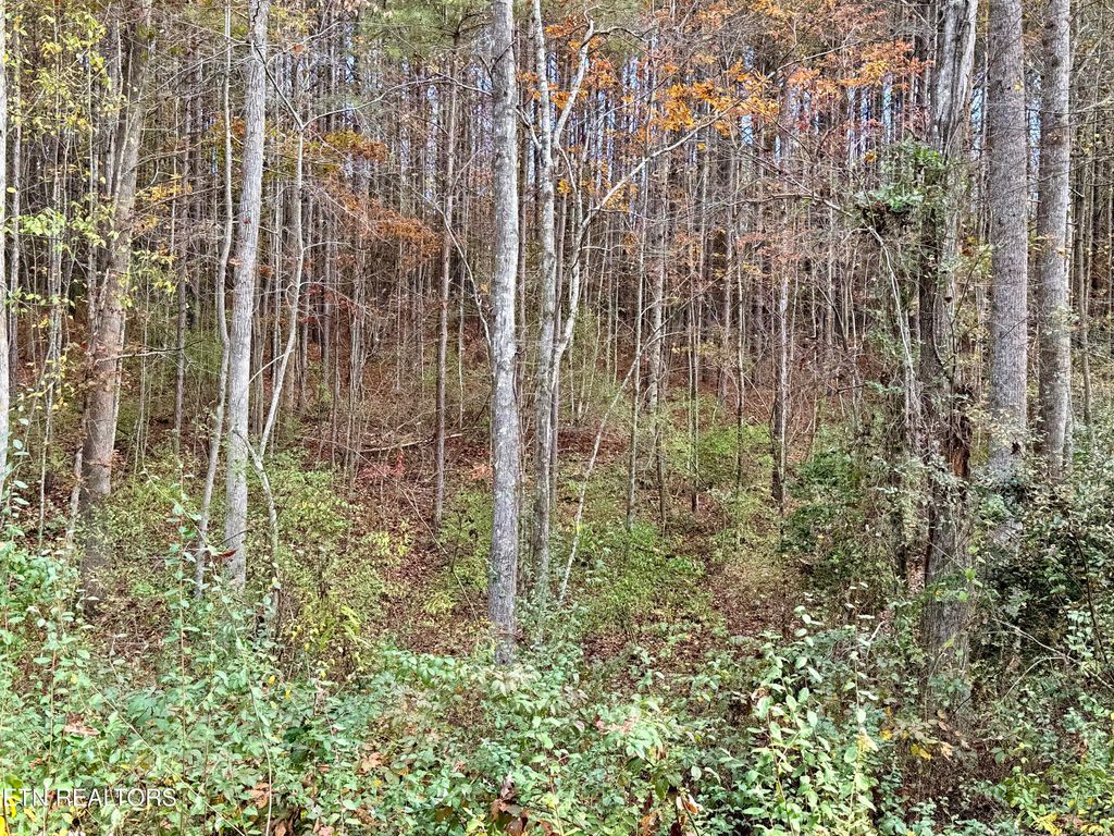 Photo of Lower Rockwood Rd Lot 17, Rockwood, TN 37854 (MLS # 1281353)
