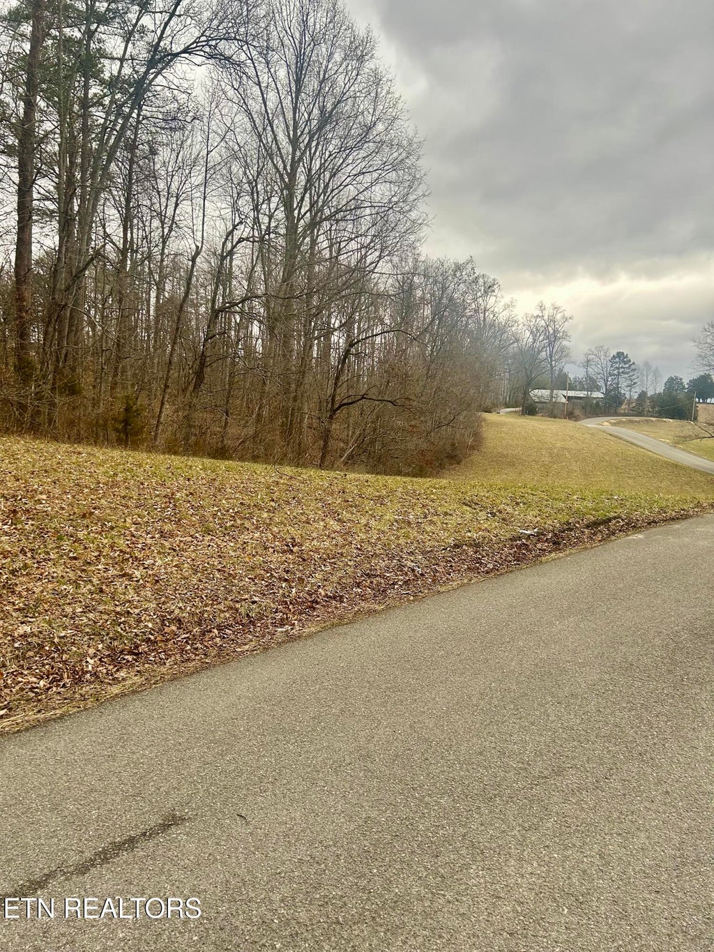 Photo of River Rd, Jacksboro, TN 37757 (MLS # 1357679)