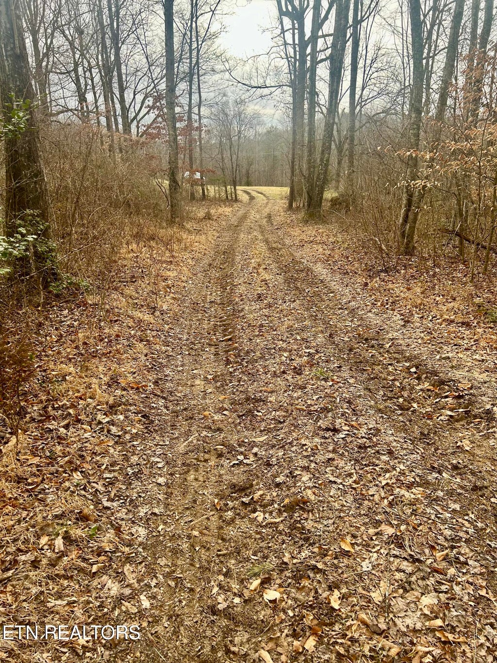 Photo of River Rd, Jacksboro, TN 37757 (MLS # 1357679)