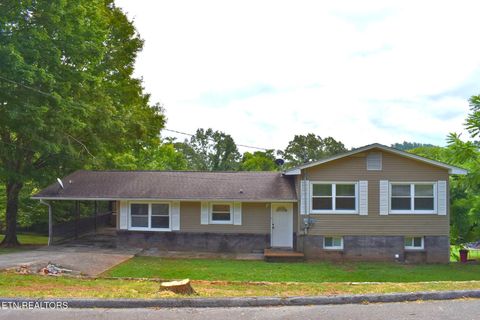 561 Robinson Drive Loudon TN 37774