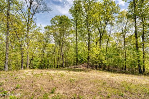 Tiny photo for Sheerwater Rd, Kingston, TN 37763 (MLS # 1298370)