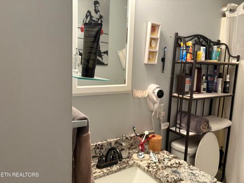 Tiny photo for 410 Loraine St, Pigeon Forge, TN 37863 (MLS # 1324421)