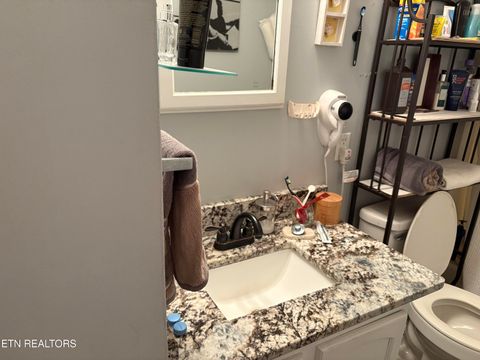 Tiny photo for 410 Loraine St, Pigeon Forge, TN 37863 (MLS # 1324421)