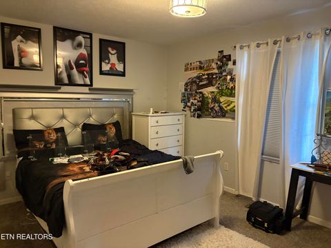 Tiny photo for 410 Loraine St, Pigeon Forge, TN 37863 (MLS # 1324421)