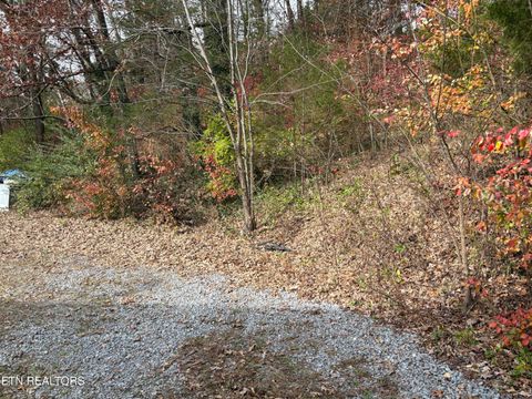Tiny photo for 410 Loraine St, Pigeon Forge, TN 37863 (MLS # 1324421)