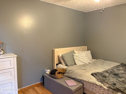 Tiny photo for 410 Loraine St, Pigeon Forge, TN 37863 (MLS # 1324421)