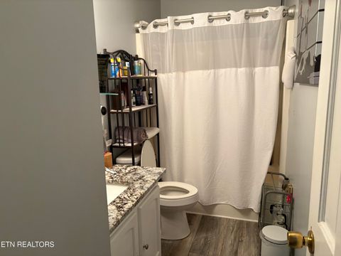 Tiny photo for 410 Loraine St, Pigeon Forge, TN 37863 (MLS # 1324421)