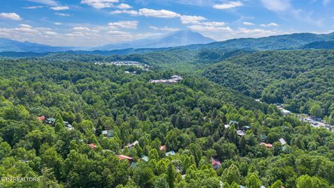 Tiny photo for 1642 Misty Hollow Way, Gatlinburg, TN 37738 (MLS # 1323696)
