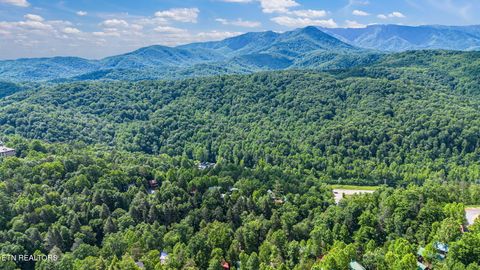 Tiny photo for 1642 Misty Hollow Way, Gatlinburg, TN 37738 (MLS # 1323696)