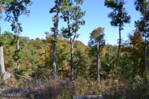 Tiny photo for 855 Highway 52 Loop, Celina, TN 38551 (MLS # 1360215)