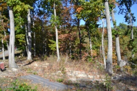 Tiny photo for 855 Highway 52 Loop, Celina, TN 38551 (MLS # 1360215)