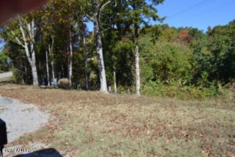 Tiny photo for 855 Highway 52 Loop, Celina, TN 38551 (MLS # 1360215)
