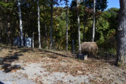 Tiny photo for 855 Highway 52 Loop, Celina, TN 38551 (MLS # 1360215)