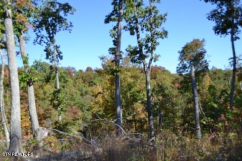 Tiny photo for 855 Highway 52 Loop, Celina, TN 38551 (MLS # 1360215)