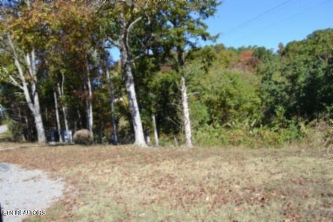 Tiny photo for 855 Highway 52 Loop, Celina, TN 38551 (MLS # 1360215)