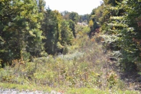 Tiny photo for 855 Highway 52 Loop, Celina, TN 38551 (MLS # 1360215)