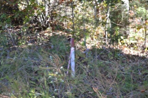 Tiny photo for 855 Highway 52 Loop, Celina, TN 38551 (MLS # 1360215)