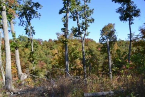 Tiny photo for 855 Highway 52 Loop, Celina, TN 38551 (MLS # 1360215)