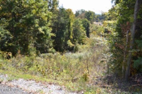 Tiny photo for 855 Highway 52 Loop, Celina, TN 38551 (MLS # 1360215)