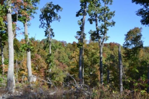 Tiny photo for 855 Highway 52 Loop, Celina, TN 38551 (MLS # 1360215)
