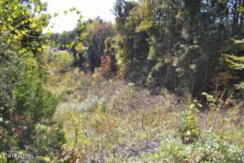 Tiny photo for 855 Highway 52 Loop, Celina, TN 38551 (MLS # 1360215)