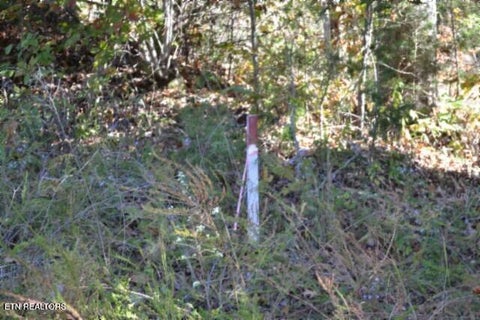 Tiny photo for 855 Highway 52 Loop, Celina, TN 38551 (MLS # 1360215)