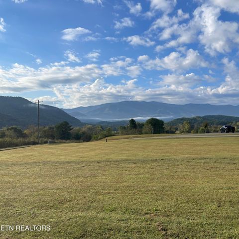 Tiny photo for 3863 Holders Grove Rd Rd, Cosby, TN 37722 (MLS # 1318502)